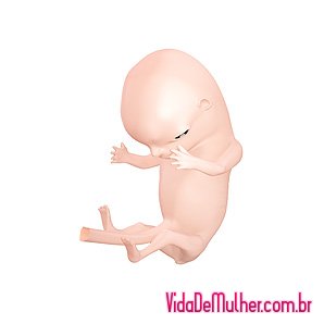 Grávida por 11 semanas